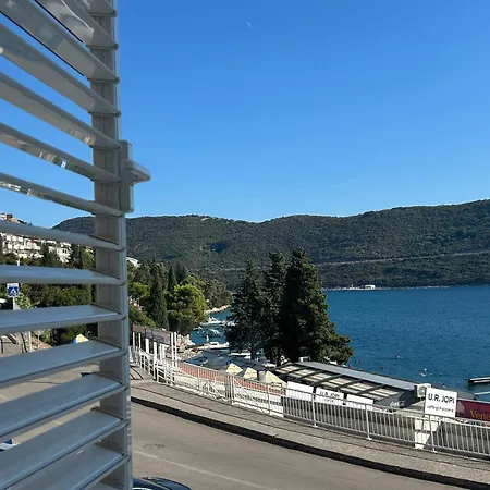 Sea Star * Neum