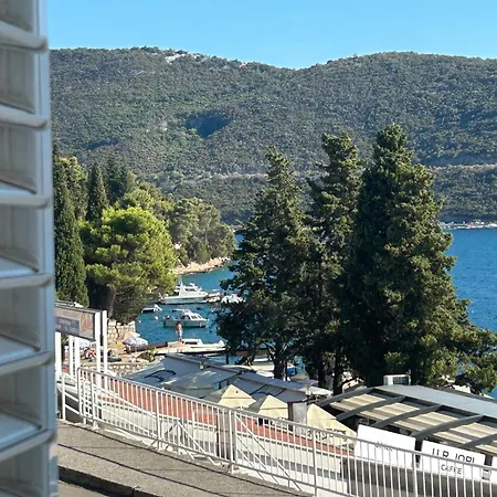 Sea Star * Neum